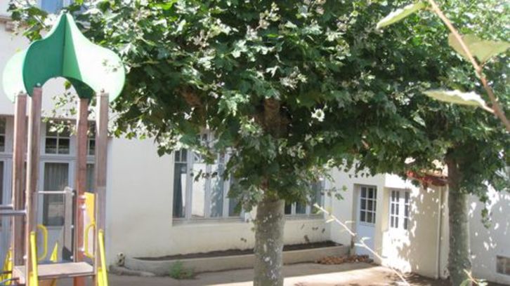 Ziburuko Aristide-Briand eskolaren kanpoaldea. (NAIZ)