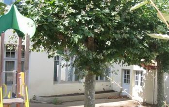 Aristide-Briand eskola Ziburun © DR