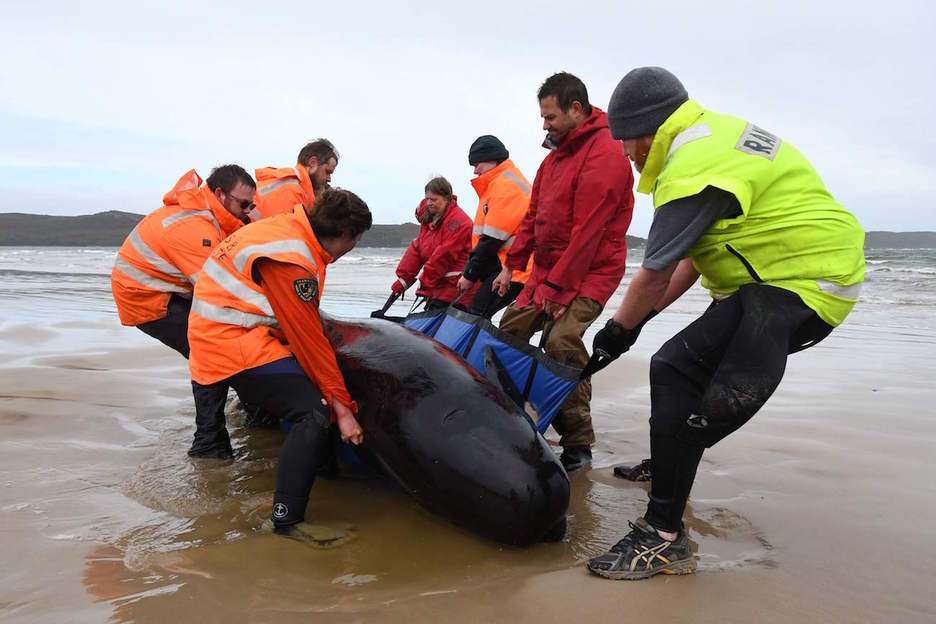 Retiran a una de las atrapadas en la playa. (Brodie WEEDING / AFP)