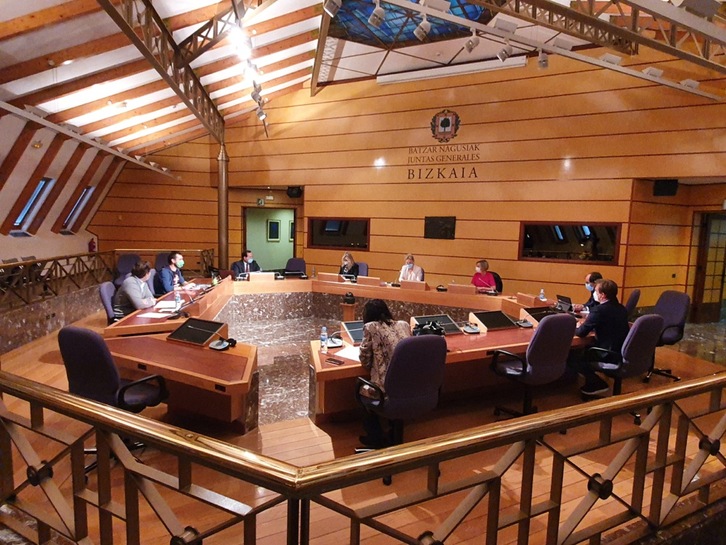Comisión de Promoción Económica de las Juntas Generales de Bizkaia.
