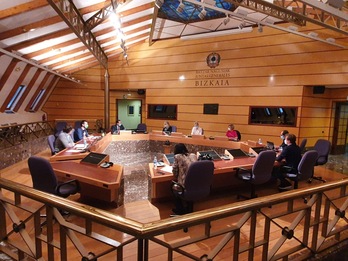 Comisión de Promoción Económica de las Juntas Generales de Bizkaia.