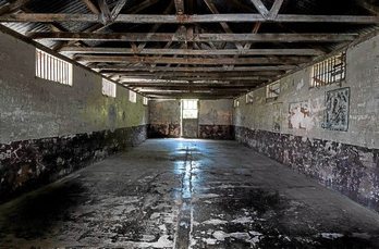 gara-2020-10-08-Opinión