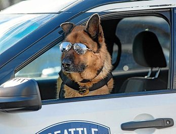 gara-2020-10-15-Noticia