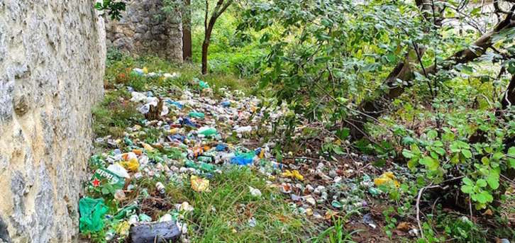 Imagen tomada en Tolosa, en la orilla del río Oria. (EGUZKI)