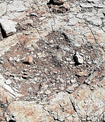 gara-2020-10-24-Noticia