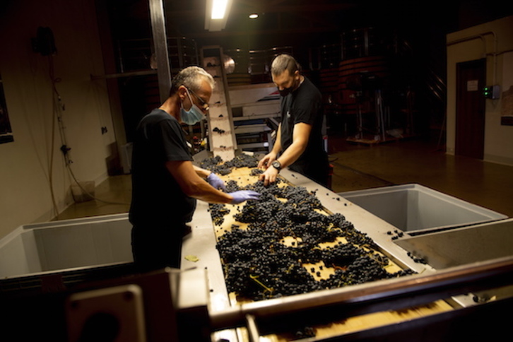Trabajadores en una bodega de Rioja Alavesa. (Raul BOGAJO/FOKU)