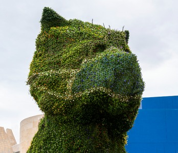 Puppy se ha puesto la mascarilla azul, que se hará más evidente con el paso del tiempo. (NAIZ) 