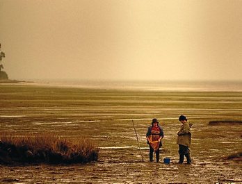 gara-2020-10-31-Noticia