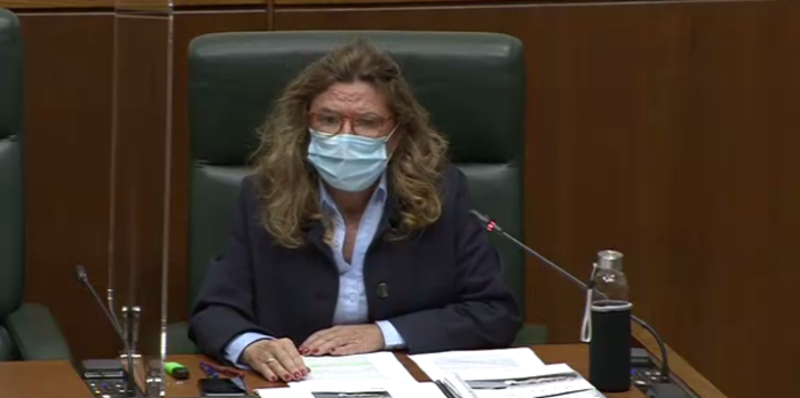 Gotzone Sagardui, esta mañana en el Parlamento de Gasteiz.