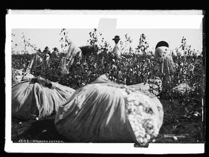 Imagen de una plantación de algodón en Alabama a finales del siglo XIX. (LIBRARY OF CONGRESS)