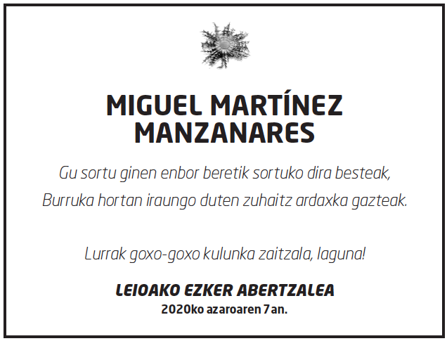 Miguel-martinez-manzanares-3