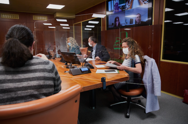 La consejera de Salud de Lakua, Gotzone Sagardui. (PARLAMENTO VASCO)