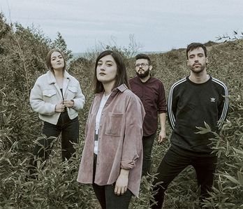 Kritika oso onak jaso ditu SUA taldeak beren musika ibilbide laburrean.