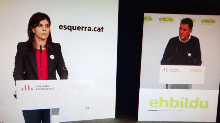 Marta Vilalta y Arnaldo Otegi, en su comparecencia telemática. 