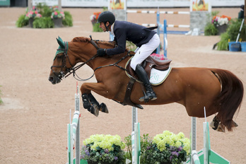 Voltaire Design-zaldi zela © Hemendik