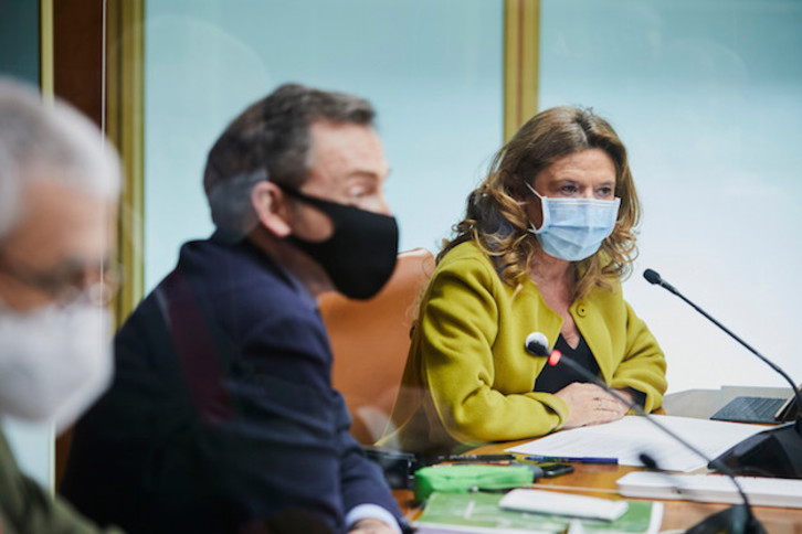 La consejera Gotzone Sagardui. (PARLAMENTO VASCO)