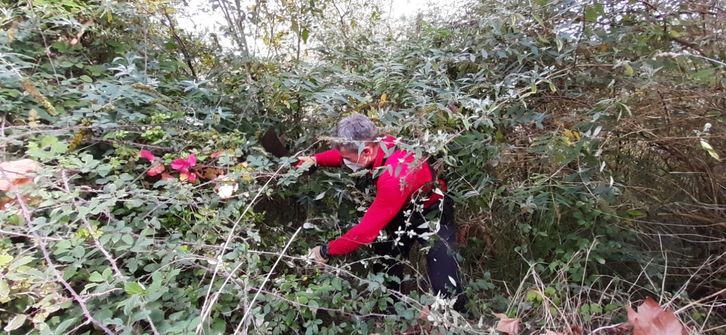 Un agente de la Ertzaintza en las labores de búsqueda. (ERTZAINTZA)