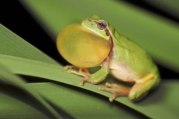 gara-2020-12-10-Crónica