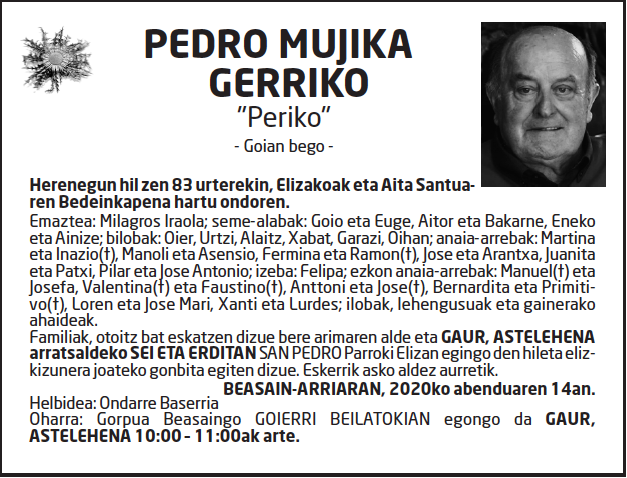 Pedro-mujika-gerriko-1