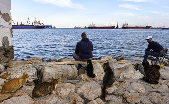 Susa hiriko portuan daude hondakin kontenedoreak. (Fethi BELAID/AFP) 