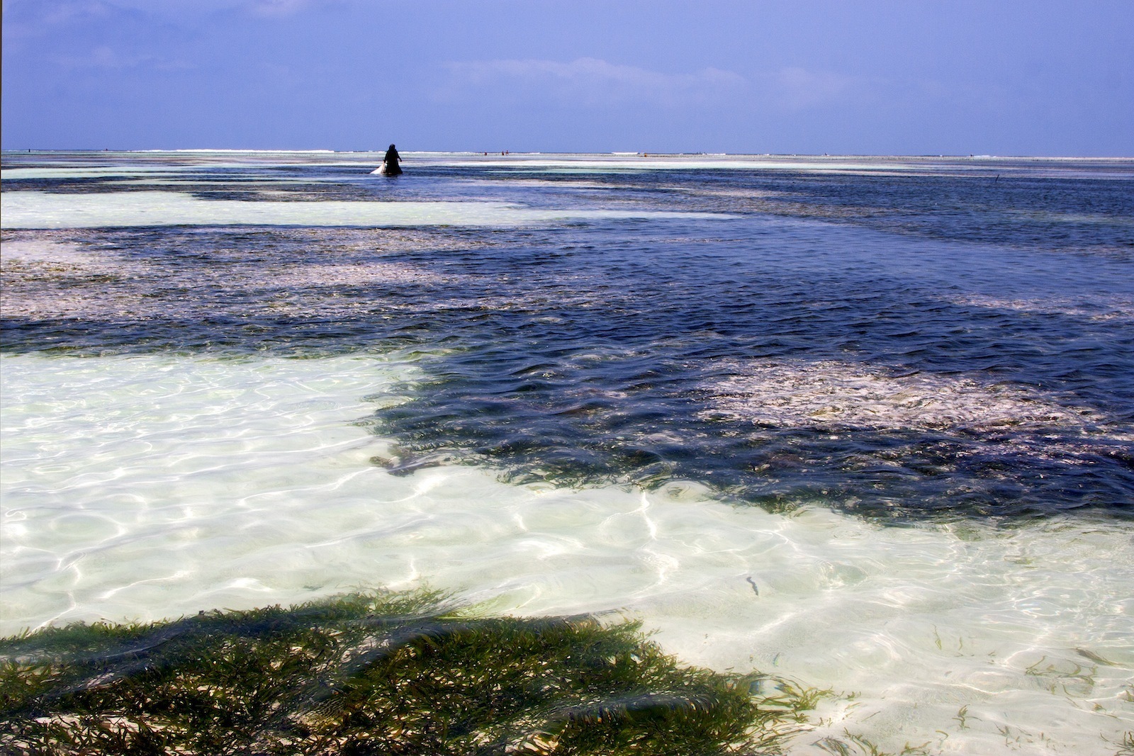 Tanzania: Granjeras de algas en Zanzíbar (Océano Índico) Zanzibar4