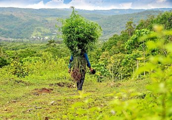 gara-2020-12-22-Reportaje