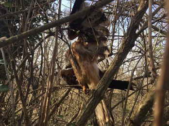 Milano real. (@eguzkiEH)