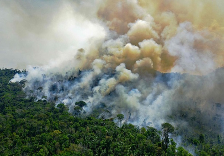 Incendio en la selva amazónica en el Estado brasileño de Pará, en agosto. (Carl DE SOUZA/AFP)