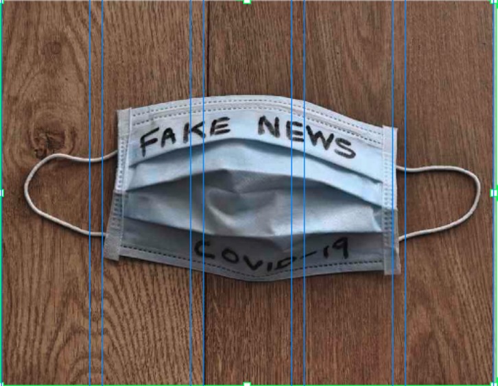 «Fake vews»-ak ez dira sortu covid-19arekin batera, baina amaitu berri den 2020an pandemian eta hark eragindako egoeran jarri dute begia. (Derick HUDSON / VIEWPART)