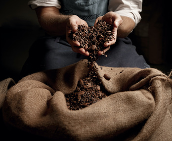 Baionako txokolatea © Hemendik