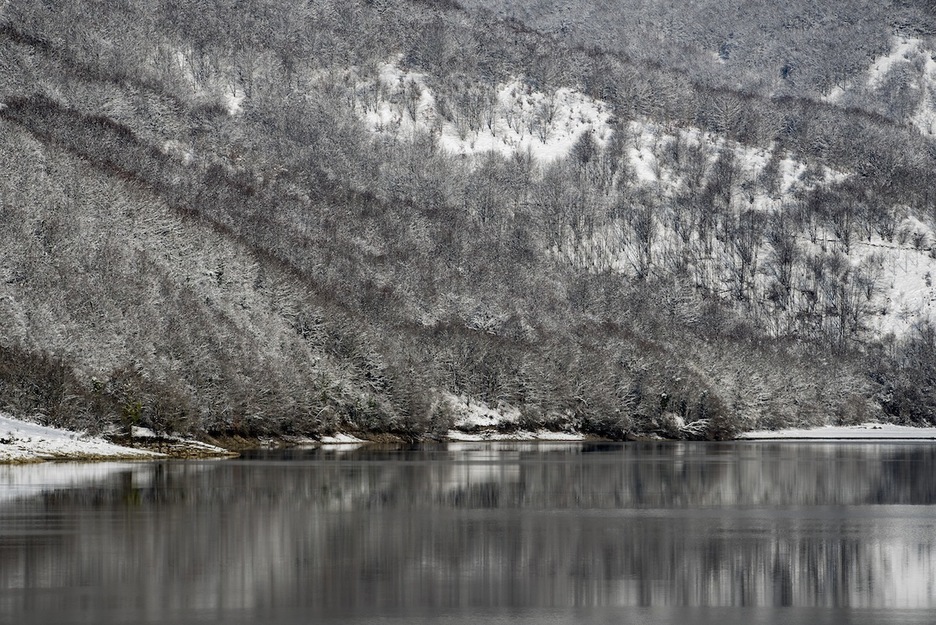 La silueta de los árboles se recorta en el fondo blanco de la nieve en las inmediaciones del pantano de Eugi.  (Iñigo URIZ/FOKU)