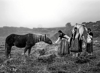 Joseba Urretavizcaya