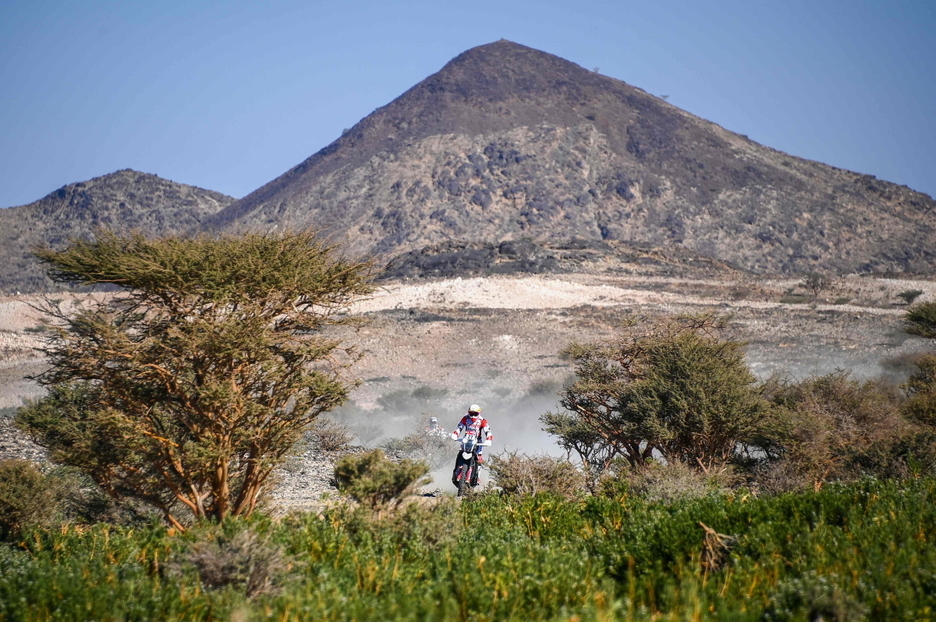 Pilotos de motos durante una etapa del Dakar. (Franck FIFE / AFP) Pilotos de motos durante una etapa del Dakar. (Franck FIFE / AFP)