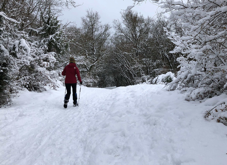 Bosque de Armentia, nevado, este domingo. (Raúl BOGAJO/FOKU)