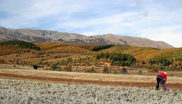 Una agricultora trabaja la tierra en la región albanesa de Gorice e Vogel. (Miguel Fernández Ibáñez)