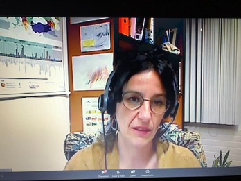 Leire Diaz de Gereñu Lasaga EKEk antolatu online mintzaldia ematen. (NAIZ)