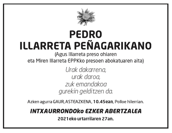 Pedro-illarreta-pen%cc%83agarikano-2