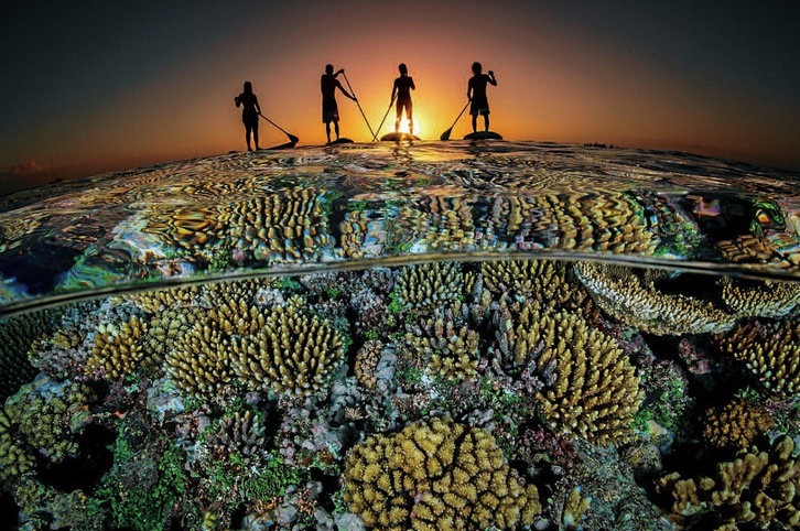 Saritutako irudi ikusgarria.