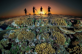 Saritutako irudi ikusgarria.