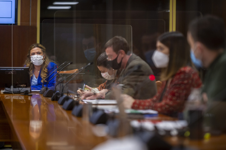 Gotzone Sagardui compareció ayer en el Parlamento de Gasteiz para dar explicaciones sobre las «vacunaciones VIP». (Jaizki FONTANEDA/FOKU)