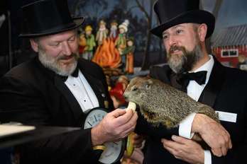 Phill marmota gaurko ekitaldian. (Jeff SWENSEN/AFP) 
