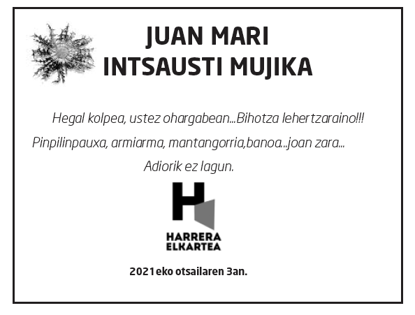 Juan-mari-intsausti-mujika-4