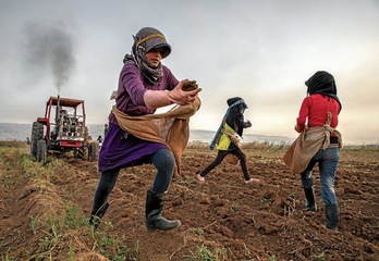 Las mujeres afrontan duras jornadas de trabajo.