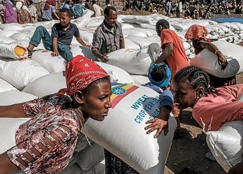 El informe señala que un total de 108 mujeres sufrieron violaciones en el citado periodo en diferentes partes de Tigray.