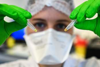 Una investigadora francesa maneja muestras tomadas a enfermos. (Pascal GUYOT/AFP)