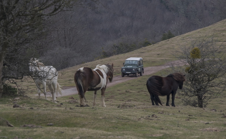 Aralarren hartutako aurreko irudi bat. (Andoni CANELLADA / FOKU)