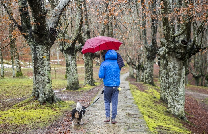 Una persona pasea con un perro por Urkiola. (Marisol RAMIREZ/FOKU)