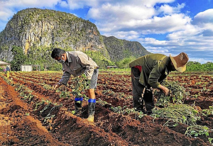 Fotografía: Yamil Lage I AFP
