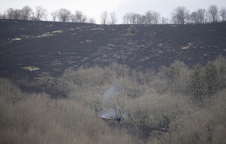 Una ladera calcinada por el fuego. (Jagoba MANTEROLA / FOKU)