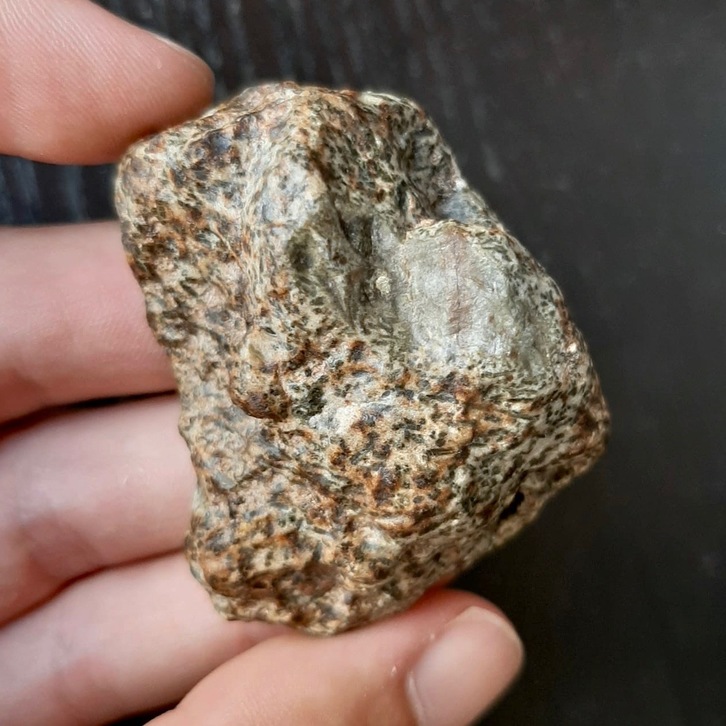 Un trozo del meteorito Erg Chech 2 hallado en una zona desértica de Argel en 2020.